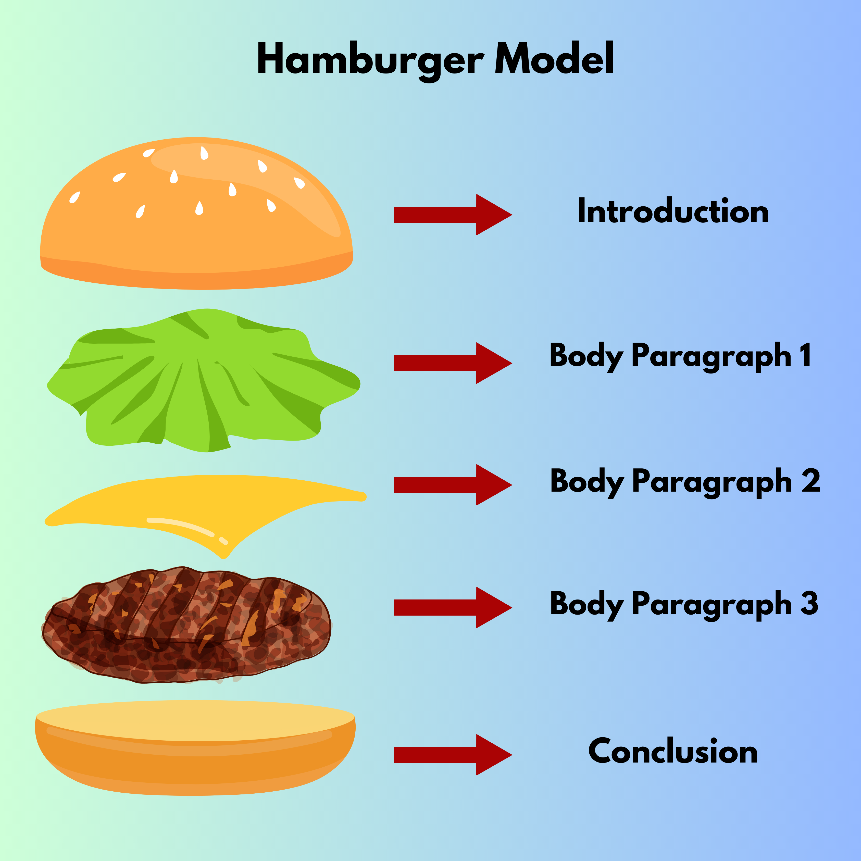 Hamburger Model